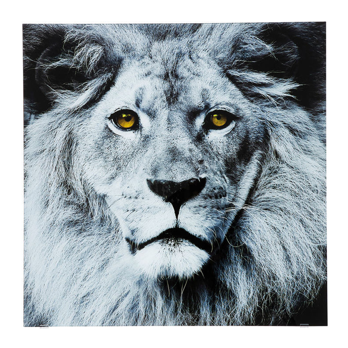 Picture Glass Face Lion 80x80cm Kare ドイツの家具 インテリア雑貨 カレジャパン公式オンラインストア