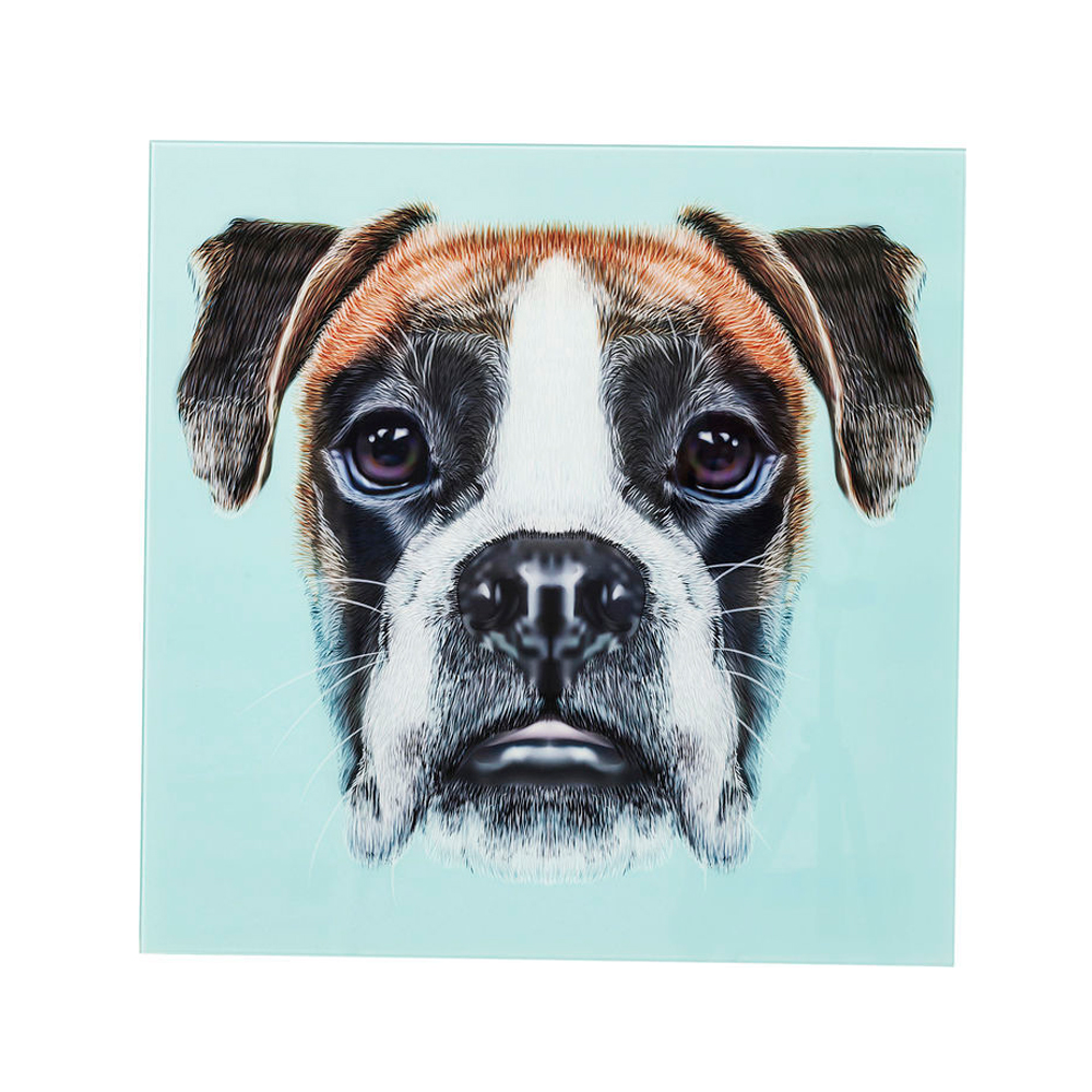 60397　Picture Glass Dog Face 60x60cm